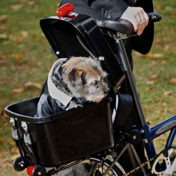 Brompton store dog basket